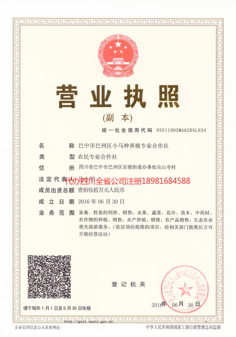 公主岭公主岭小马种养殖专业合作社